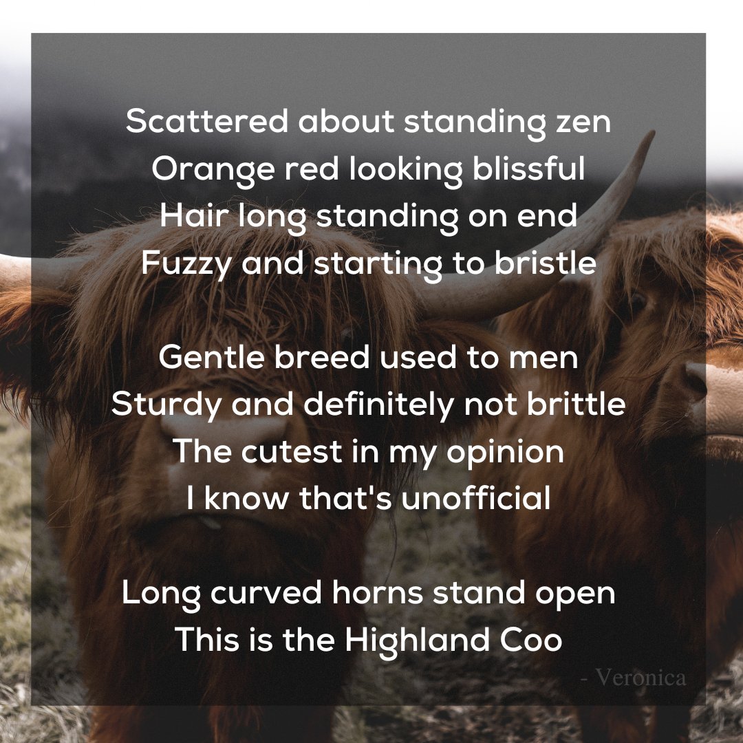 Our first #poem entry into our #ScottishPoetry competition is here! 'Isle of Coo's' by Veronica H.

Post likes = Votes.
To find out more or enter visit: bonnieboxesltd.com/giveaway