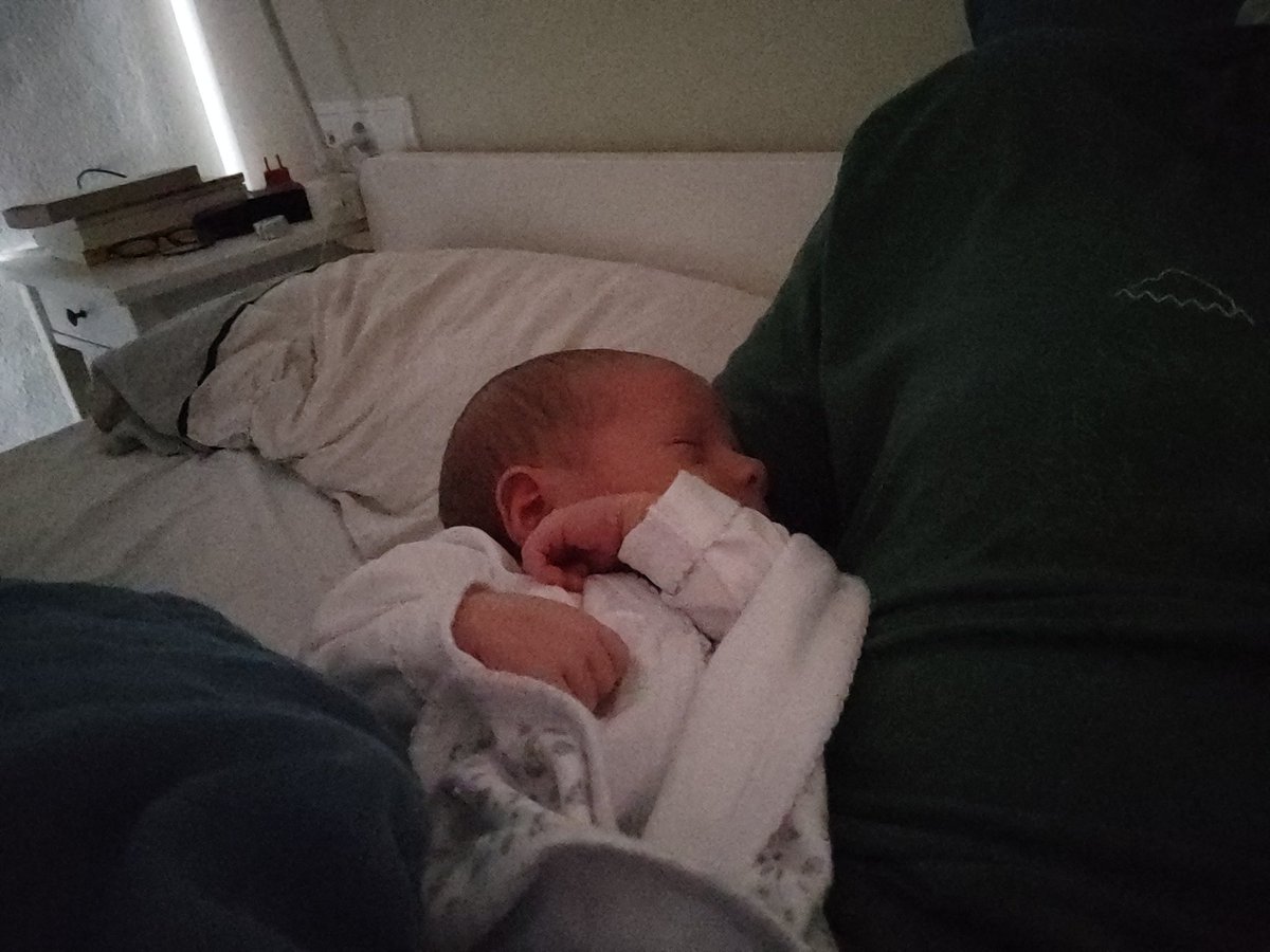 Cuando mi hijo sueña cuando los elefantes sueñan con la música..<a href="/carlosgalilea3/">Carlos Galilea</a>