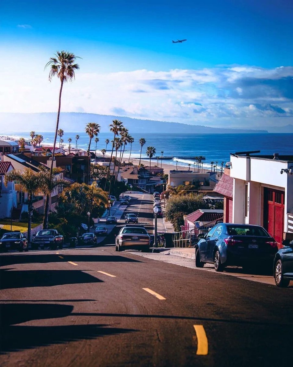 Olga Sergeeva tweet media