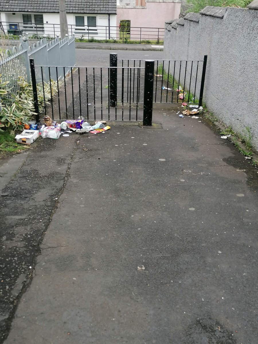 b_dm_nz's tweet image. I will clean up the streets of Backhill and Cornerstone! Vote for me Nathan Coolege on May 5th!

#Council22 #YourVoteMatters #votePP #VoteNathanCoolege