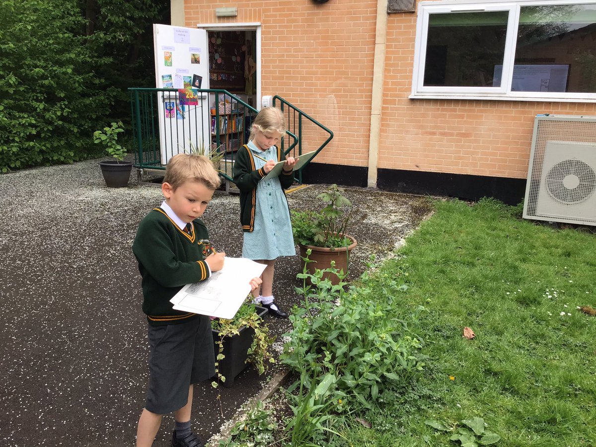 laceygreenpa's tweet image. 2J have been looking for and labelling micro habitats around school.
#LGPAscience
