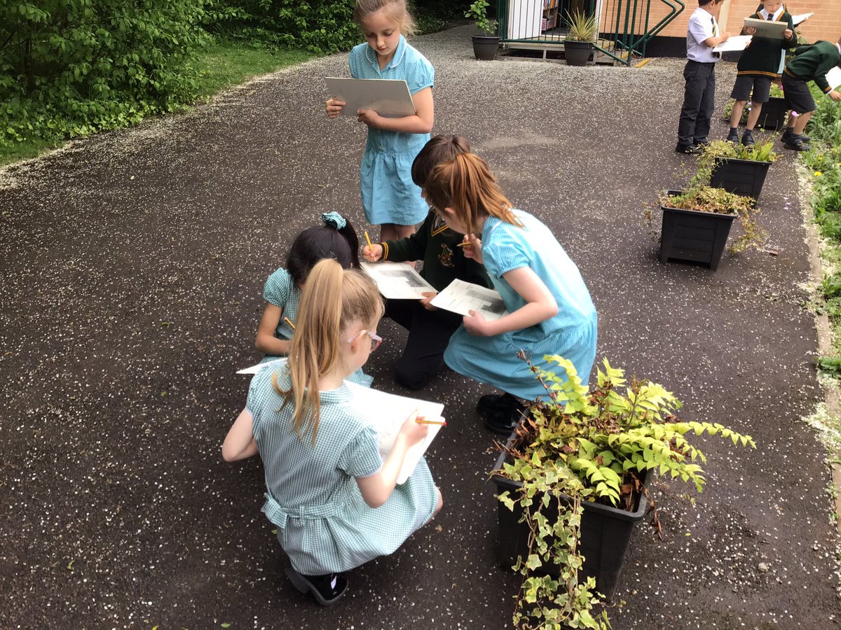 laceygreenpa's tweet image. 2J have been looking for and labelling micro habitats around school.
#LGPAscience