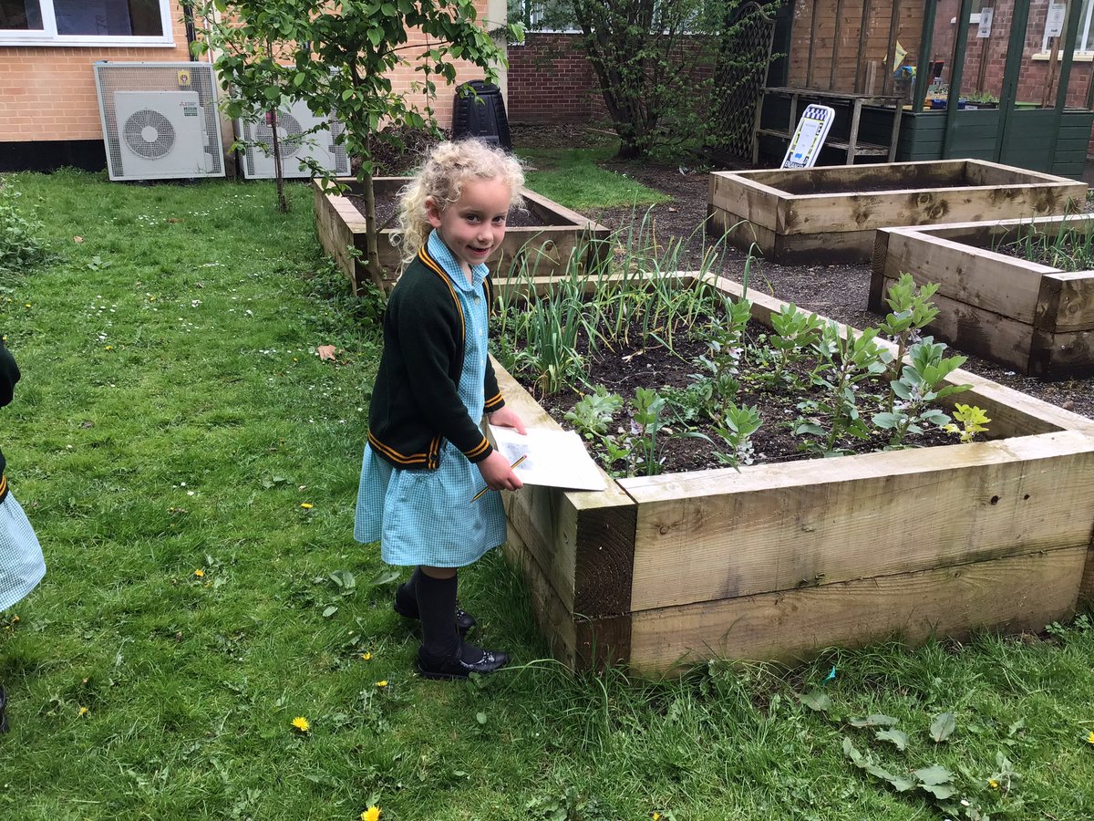 laceygreenpa's tweet image. 2J have been looking for and labelling micro habitats around school.
#LGPAscience