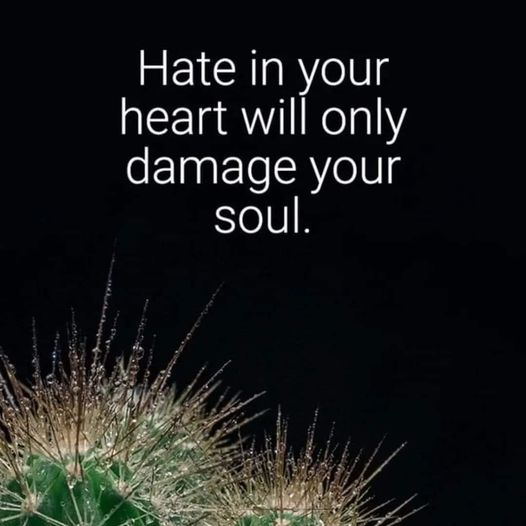 MandieG_MacRaye's tweet photo. #HateWontWin #AvoidHate https://t.co/v1NDRi2xaQ