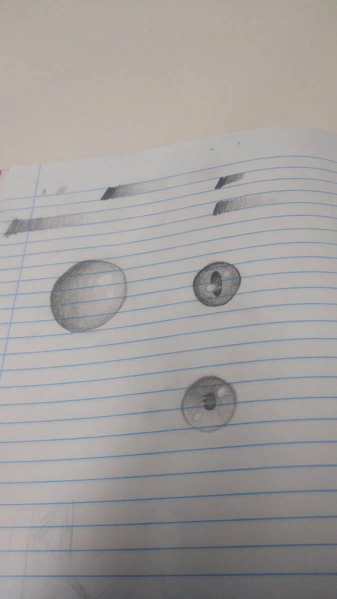 marculino.jpeg tweet media