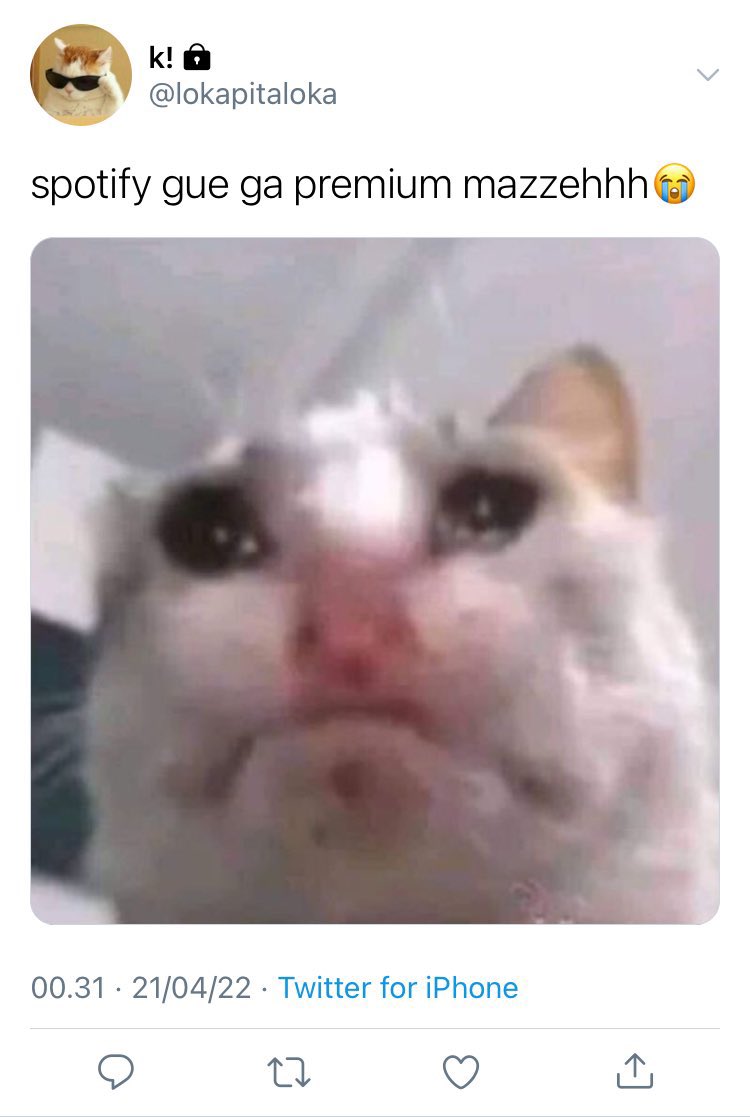 ˚☽˚.⋆ tweet media