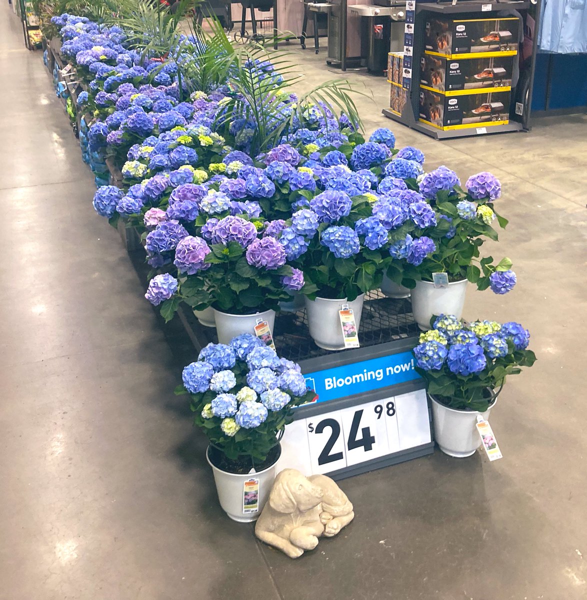 Kate11589687's tweet photo. It’s all most show time folks,this is how we do it💅🏻 #Lowes2589 #plantpartners #MothersDay2022 https://t.co/6KSuYTQy5G