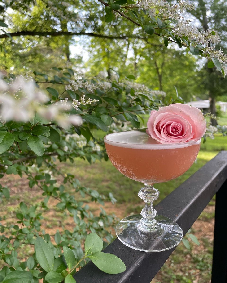 spiritsandmusic's tweet photo. Caroline: 

1.5oz Botanist Gin 
.5oz Lemon 
.5oz @combier.usa Rose Liqueur 
.5oz Strawberry Syrup 
.25oz Aperol 
Egg White https://t.co/vlGCbi7e2X