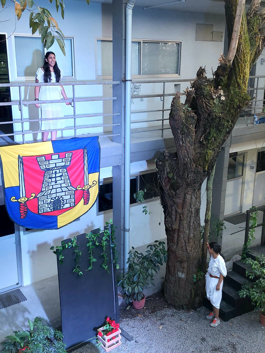 TBS English tweet media