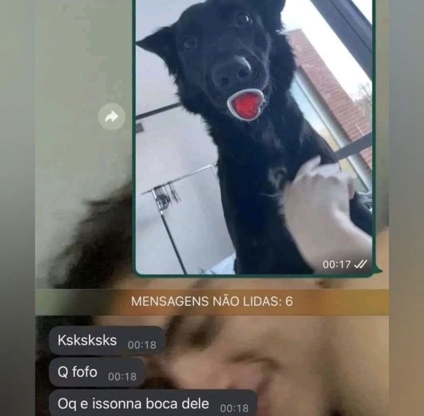 ange_dechoir's tweet photo. Que fofo 🥰 https://t.co/BVq3yyCsYK
