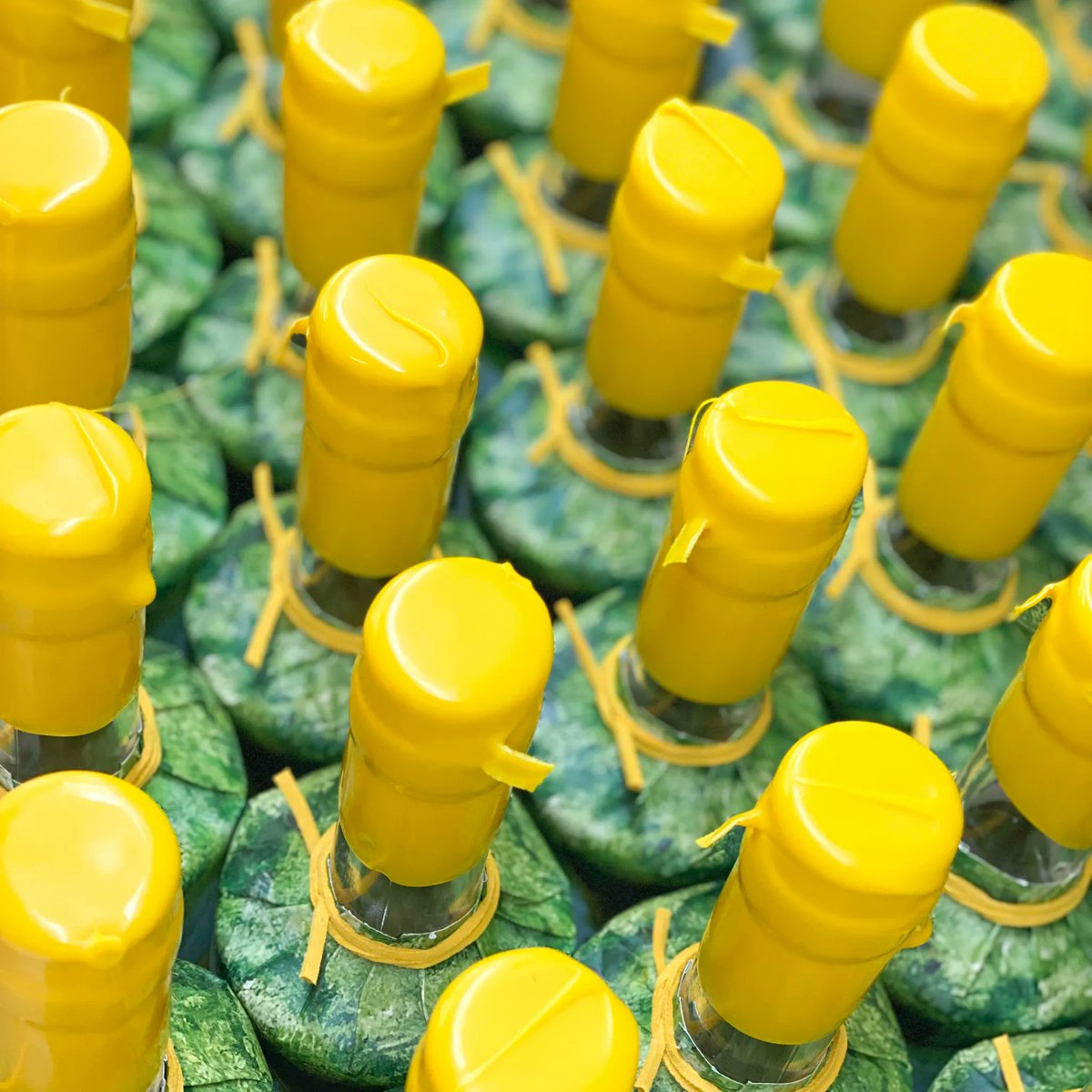 Copper in the Clouds tweet media