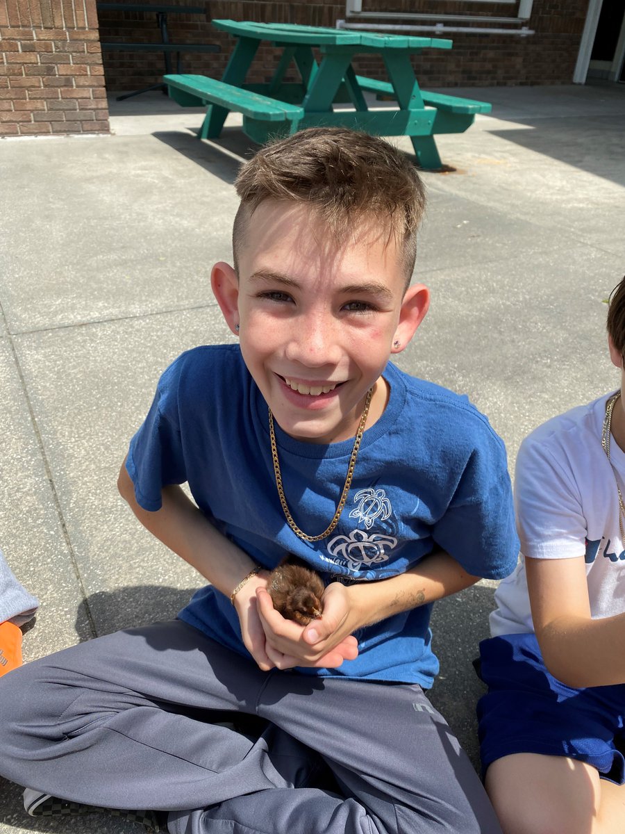 BrevAfterschool's tweet photo. Baby Chicks at Enterprise Elementary. #AfterschoolWorks #BAS321 https://t.co/yyKoHWKwMx