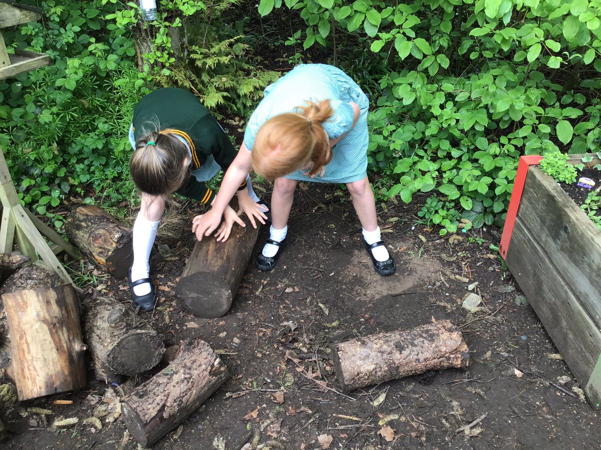 laceygreenpa's tweet image. 2A are exploring different microhabitats in Science 🪵🌻🌳 #LGPAScience
