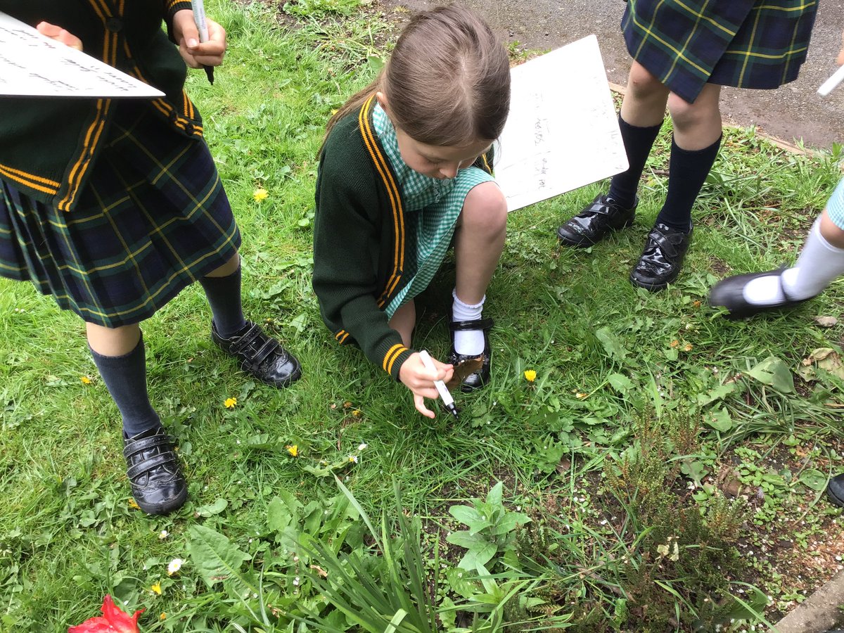 laceygreenpa's tweet image. 2A are exploring different microhabitats in Science 🪵🌻🌳 #LGPAScience