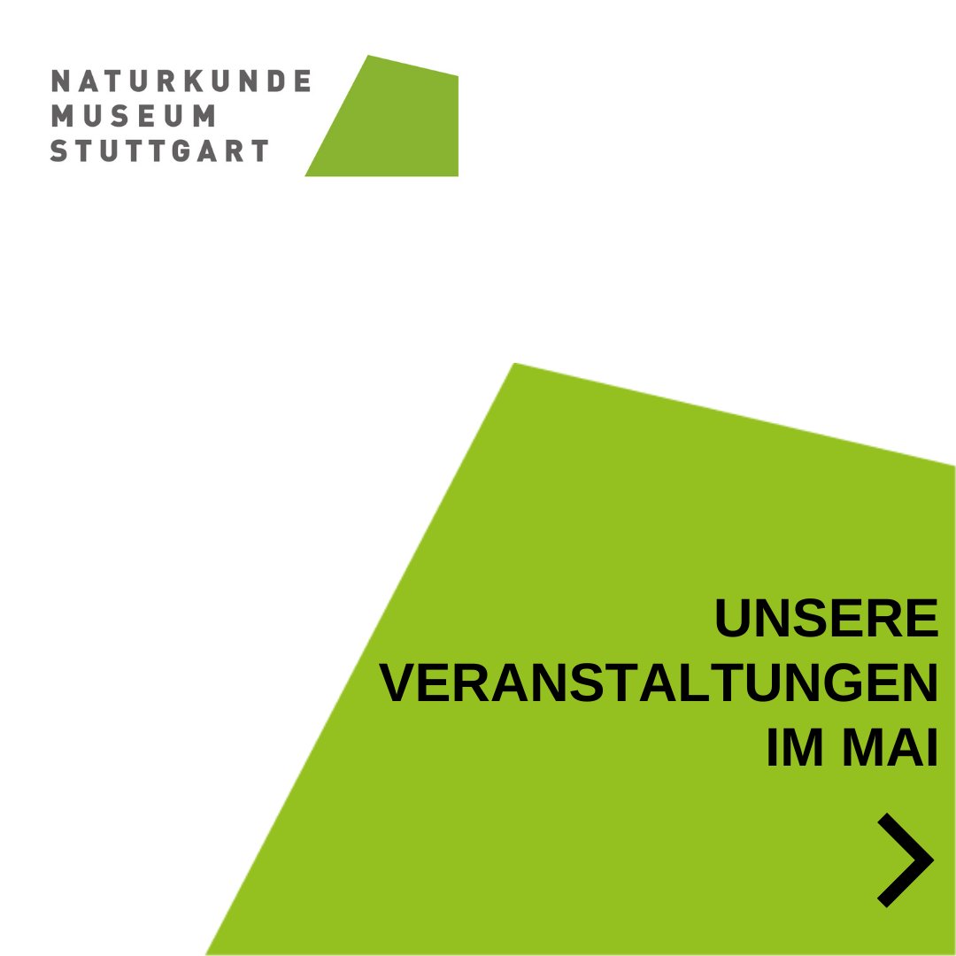 SMNStuttgart's tweet photo. +++ Unsere Veranstaltungen im #Mai im #MuseumamLöwentor, #SchlossRosenstein UND digital +++ Alle Infos zu den Terminen, Zugangslinks, Corona-Auflagen etc. --> https://t.co/sR2rLCyvHt

Wir freuen uns auf Euch!

#museum #museumdigital #veranstaltung #freizeittipp
#stuttgart #dino https://t.co/uE9zW7o9mQ
