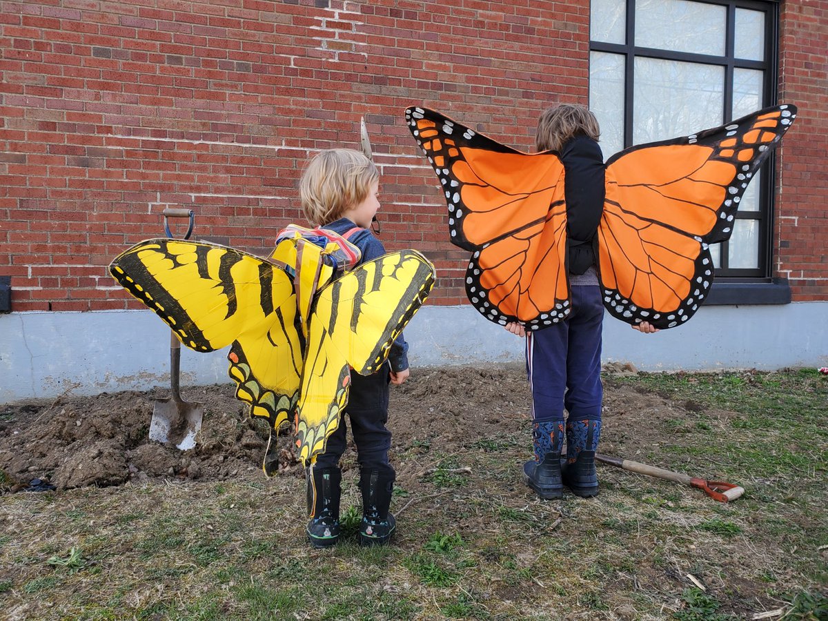 stcatschool's tweet image. Thank you Garden Committee for preparing our school garden for planting and our butterfly garden. Thanks for the support with funding. #seedtotable @HRCEHealthPromo