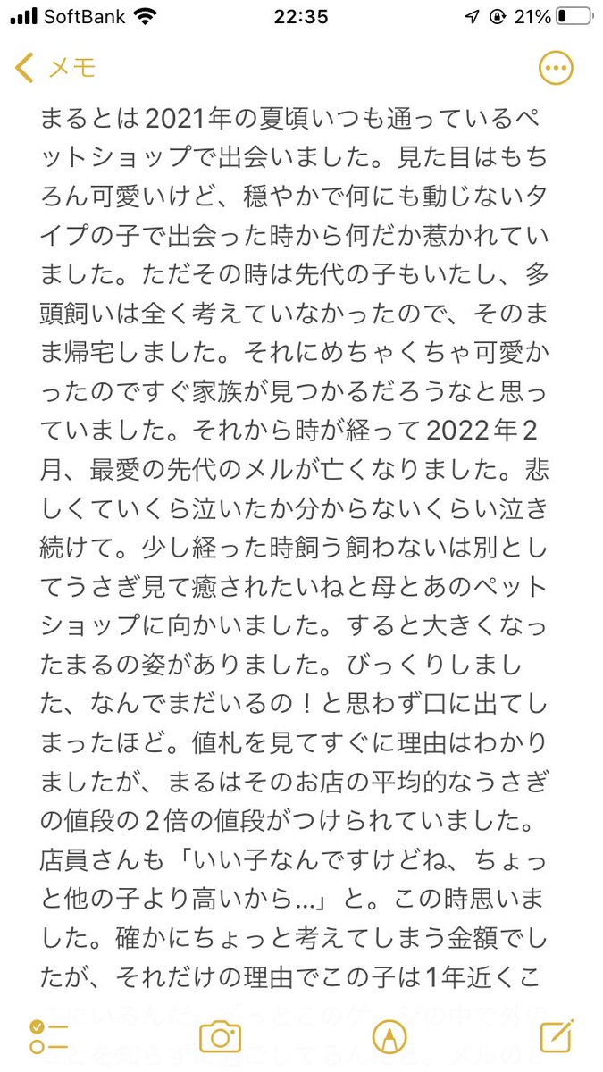 maruboo_0323's tweet image. 今日からまるの日常を成長日記がてらのんびり投稿していこうと思います🐰まるの詳細については画像にて!
#うさぎ好きさんと繋がりたい