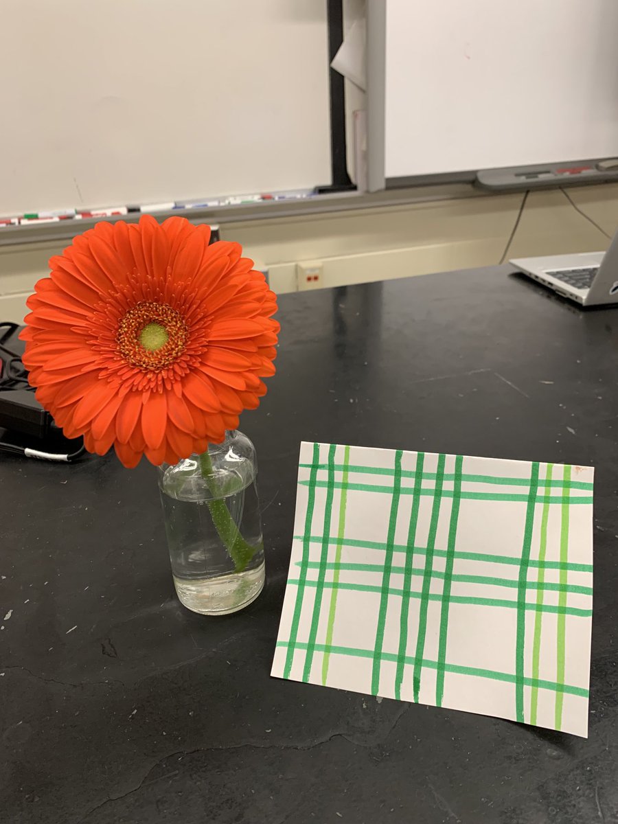 Such kind ⁦<a href="/LHS_Lancers/">La Follette High School</a>⁩ gave me a gift for #teacherappreciationweek #WeAreLaFollette