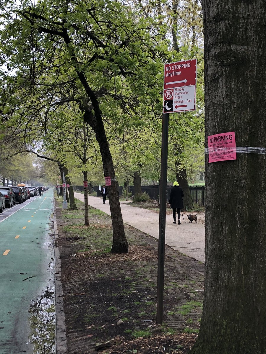apulidonyc's tweet photo. @NYCRUNS @NYCParks hello! Lots of “no parking” signs were left taped to our beautiful street trees on Parkside Ave after the Brooklyn  Marathon. Could you help take them down? https://t.co/tyPRhhf6z4