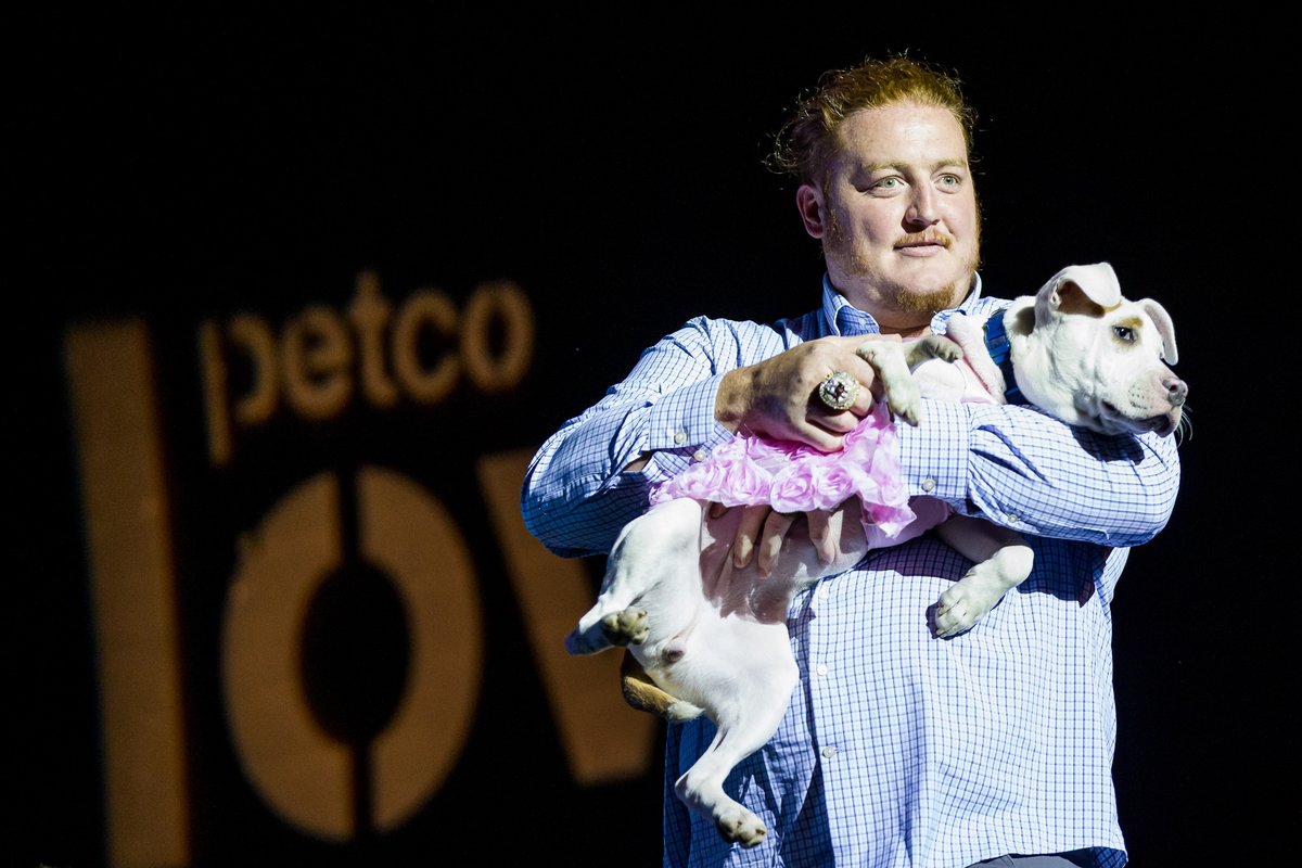 SoftSide1's tweet photo. Last Friday, the Super Bowl ring returned to Baltimore on behalf of 50+ homeless dogs and cats. No wonder purple territory still goes wild for @sinjen66 – not only is he #teamsoftside for life, but also bringing up his little ones to do the same. #pawjectrunway https://t.co/lBL8Ep4Gcg