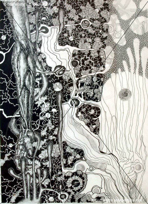 Imagein8's tweet photo. Day and Night < #DarWolfe > 
V/ @art_aperture 

#art #artwork https://t.co/qSzoB8mp2l