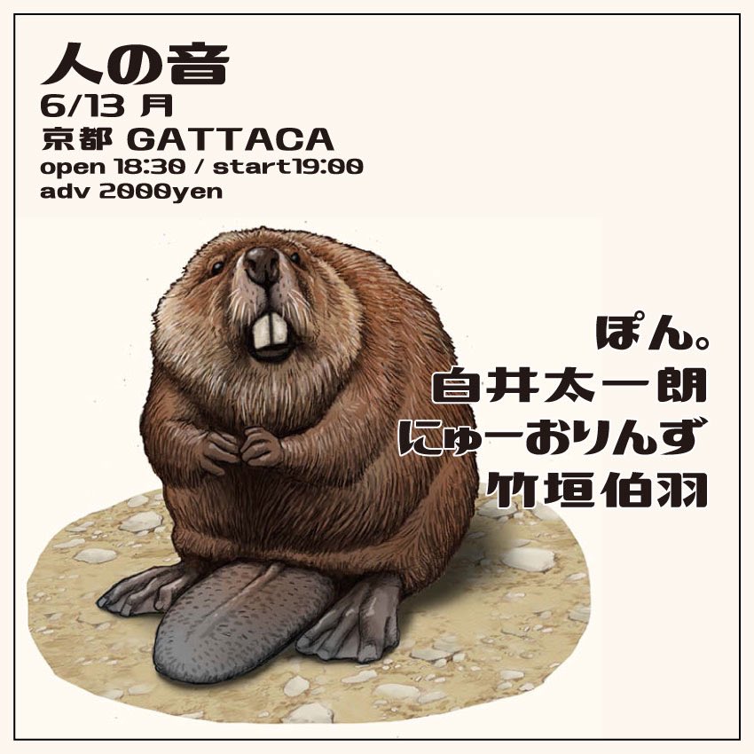kyoto_GATTACA's tweet photo. ☀️解禁☀️

6月13日(月) の京都GATTACA

[ 人の音 ]

open 18:30 / start 19:00
adv ¥2000

☁️出演☁️
ぽん。(@songs__p_o_n )
白井太一朗(@Shirai_Taichiro )
にゅーおりんず(@NEWORLIGNZ )
竹垣伯羽(@eureka_kyoto )

お楽しみに🌍 https://t.co/bggrll37ng