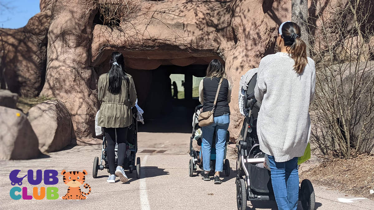 The Toronto Zoo tweet media