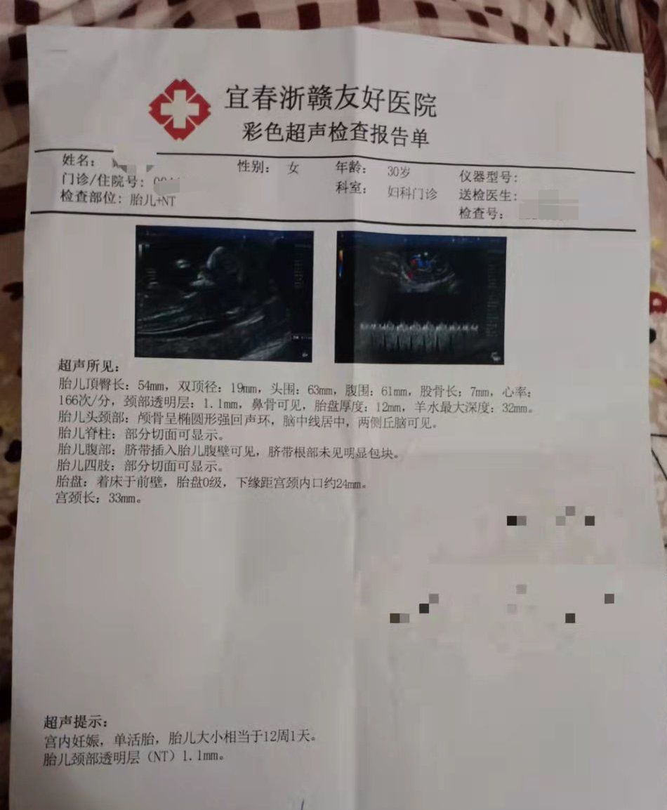 LUming9521's tweet photo. 恭喜江西老哥圆梦，年初两次播种居然都开���了，叫我神枪手，真·“日”行一善。再说一次，本轮疫情稳定前不播了，需要的可以预约后面的，坐标江浙沪，可空降最佳。
王八们，还等什么呢？#绿帽 #播种 #下种 #灌精 #借种 #送子 #绿王八 #绿帽夫妻 #绿帽情侣 #绿帽狗 #射手 #阳物 https://t.co/NDpCnPhB7h