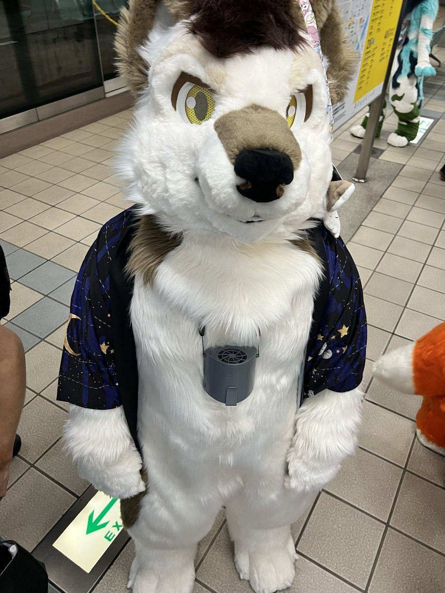 咖啡🐺🌈 tweet media