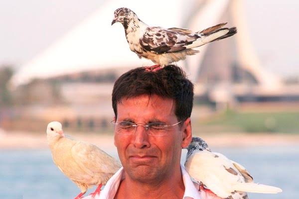 srishtayyyy's tweet photo. Laut aao funny Akshay Kumar https://t.co/AUsFPMUhf2