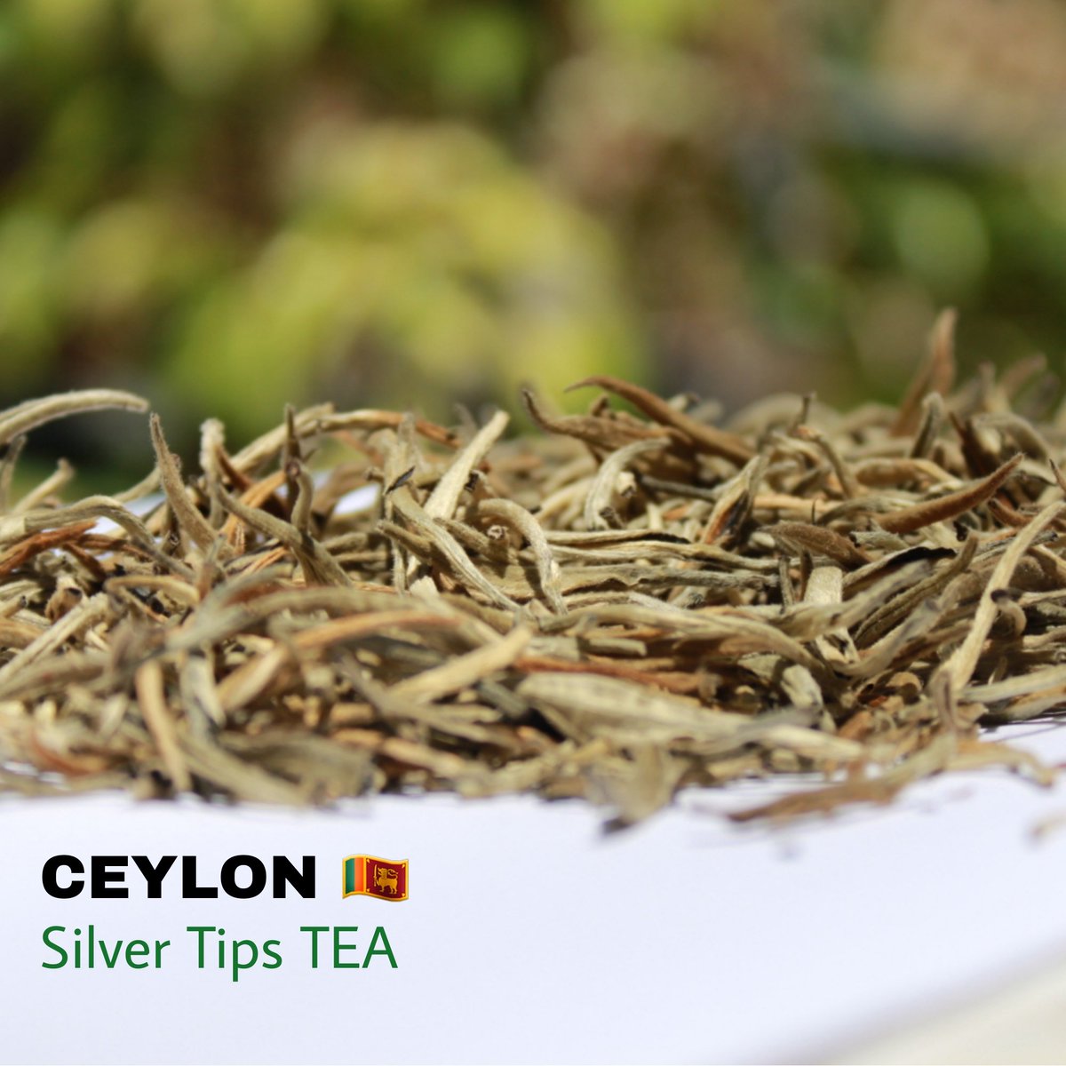 Ashpinki_'s tweet photo. Premium Ceylon Silver Tips Tea ❤️🌱🇱🇰 
20% OFF TODAY ❤️
FREE DELIVERY ♥️ 
https://t.co/FHVHR8M3zy

The best quality premium silver tips is good for your healthy life.. Try this today ❤️😍 https://t.co/o2a84dc7uT