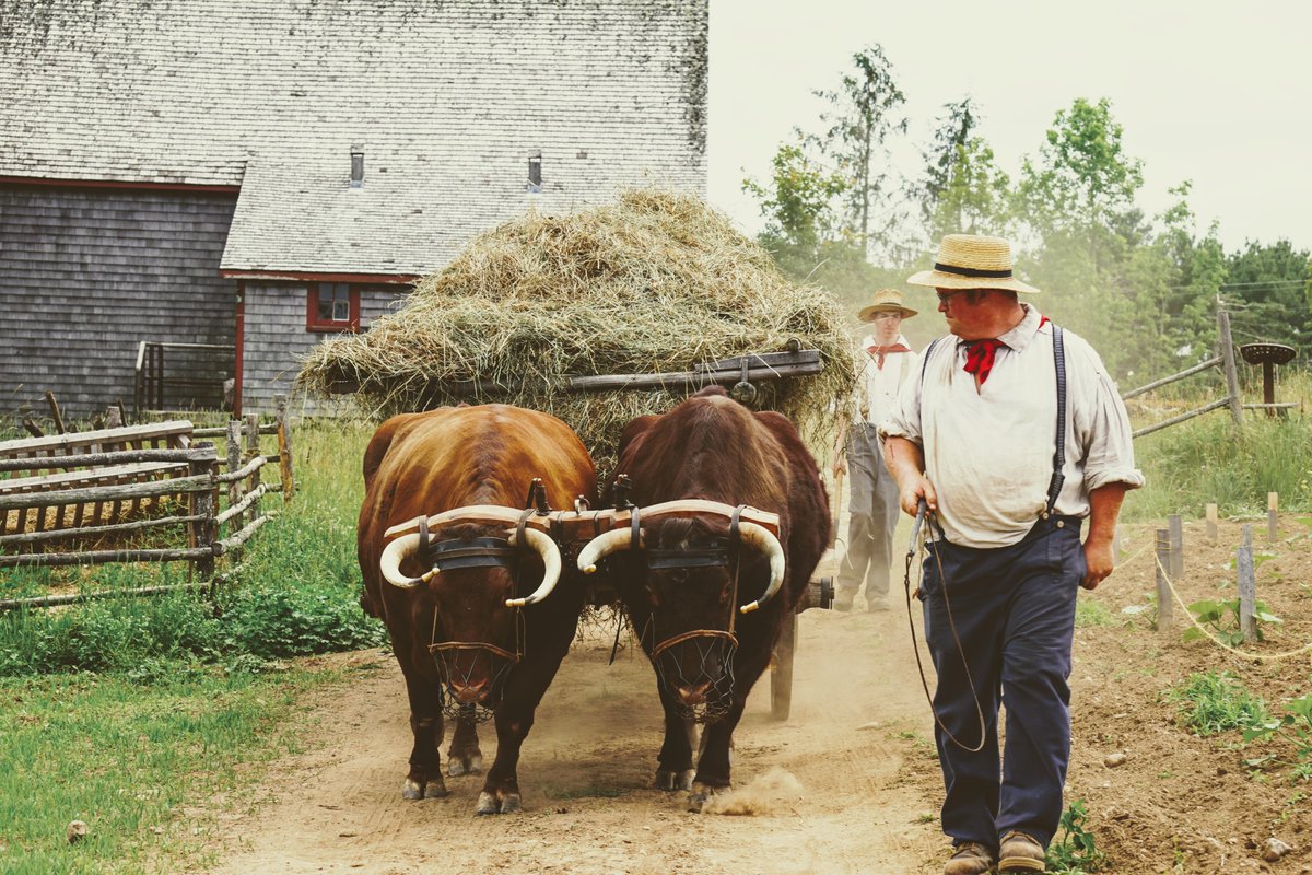 Ross Farm Museum is NOW HIRING for the position of Farm Hand/Ox Teamster.
Details here: rossfarm.novascotia.ca/about-ross-far…