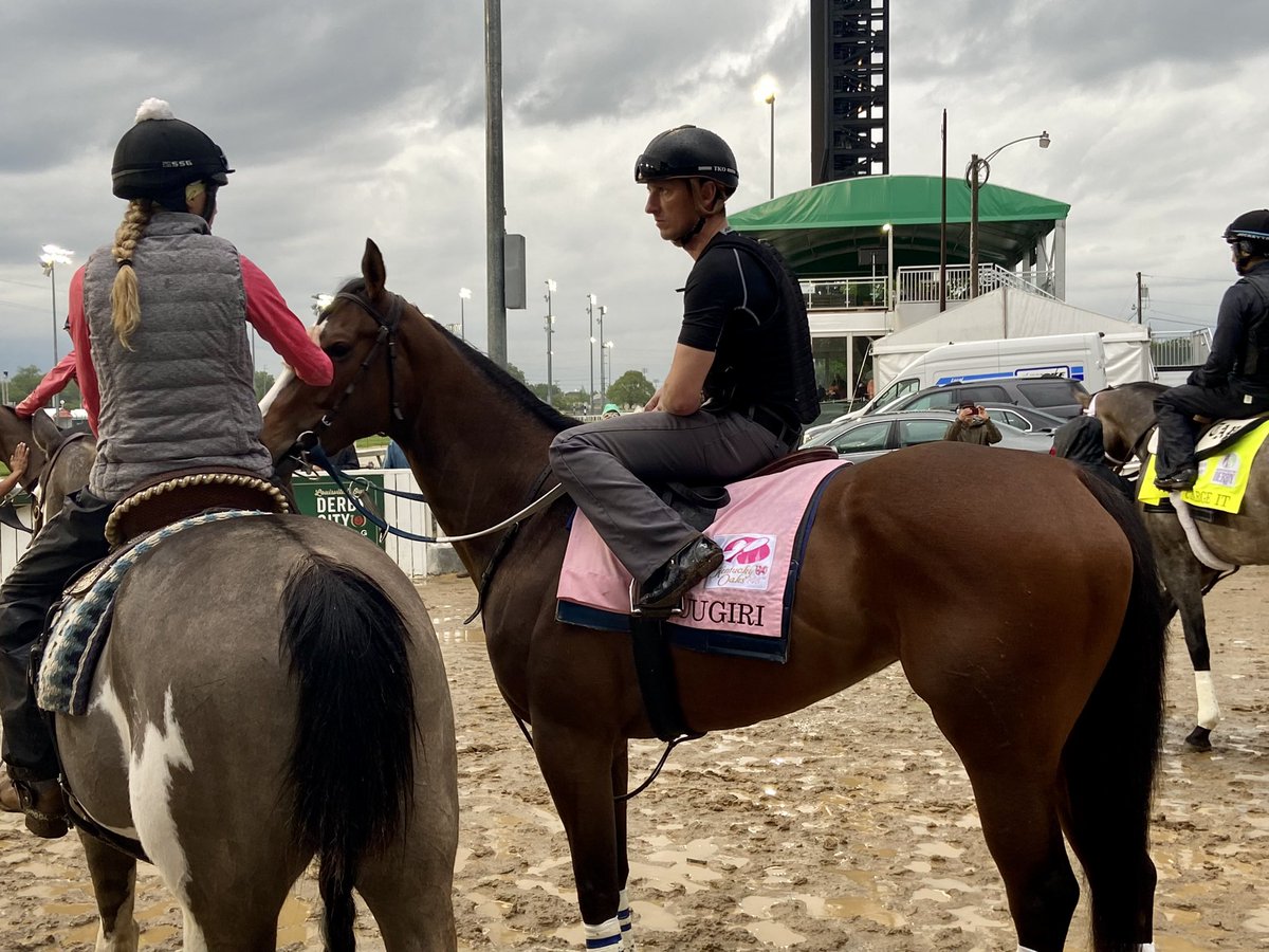 How often do you get to see the trainer exercise his own horse? Well, pretty frequently if that trainer is <a href="/BrissetRodolphe/">rodolphe brisset</a>. Good luck to Yuuguri in #KYOaks