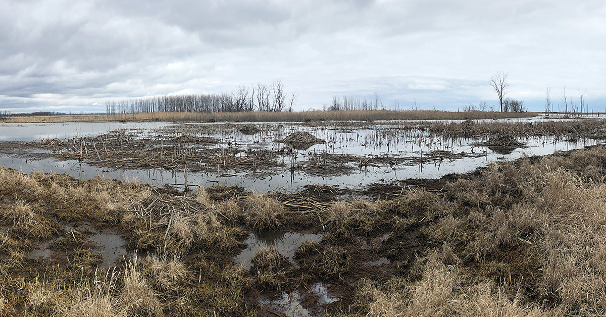 DucksUnlimited's tweet photo. Early Spring Habitat Outlook 2022

An overview of wetland conditions across key waterfowl breeding areas.

Read now: https://t.co/TpCjjQnxyM https://t.co/WH4RIqQVSm