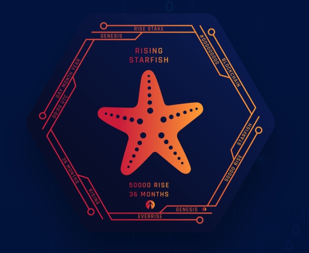 ImJust_Tom's tweet photo. #EverRise $RISE Staking NFT Giveaway! Prize 50,000 RISE staked for 36 Months on #BSC.

How to enter:
1. Follow @Tom_EverRise &amp; @EverRise.
2. Like &amp; Retweet this post.
3. Comment #EverRise &amp; Tag a project below that you'd like to see listed on #EverSwap.

Winner drawn in 48 hours! https://t.co/RN9NRPG3TO