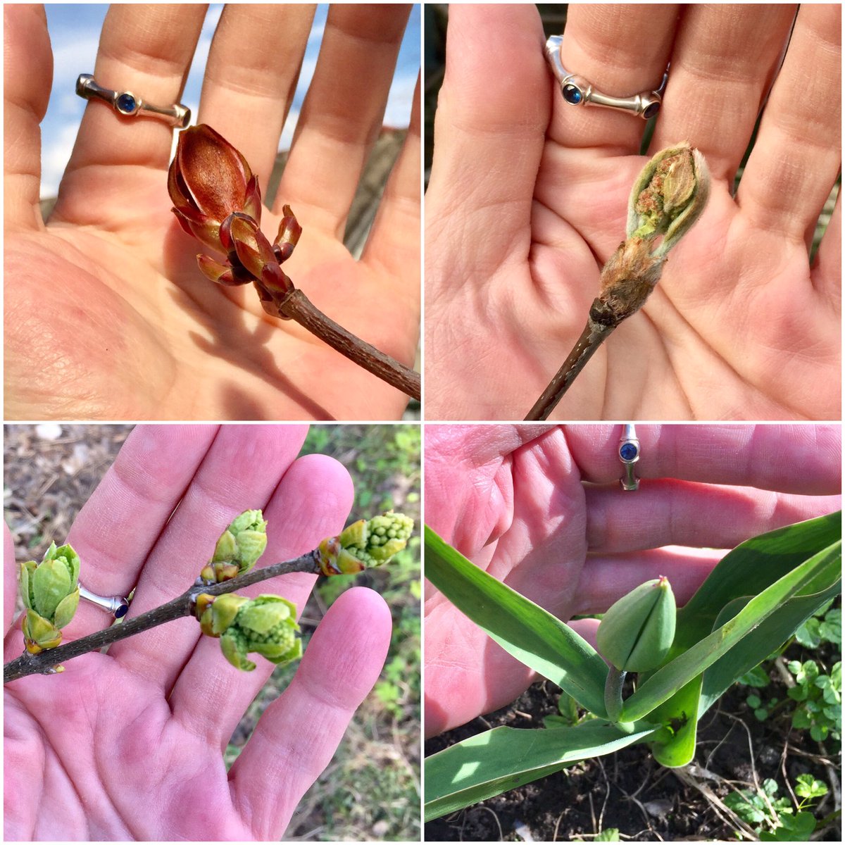 Любя Природы пробуждение, 
Приветствую Новорождения! 

#ПБДфототерапия