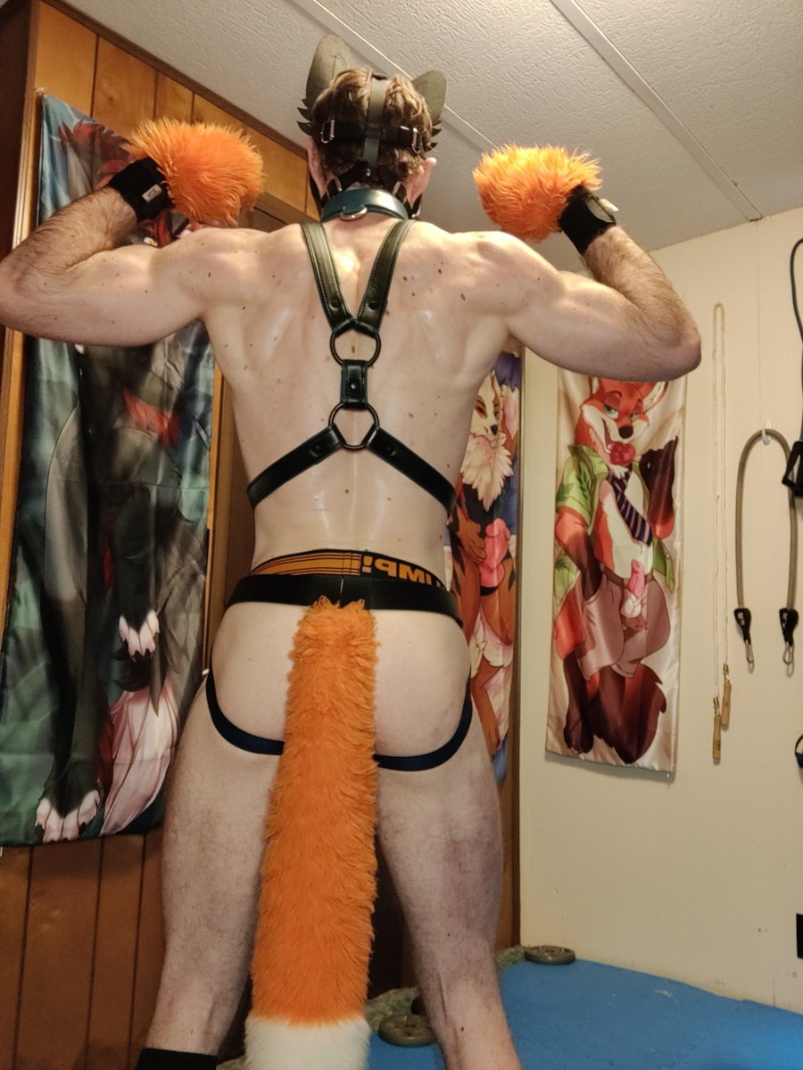 YiffyFox91's tweet photo. Some hot and sweaty fox pics for all to enjoy๐๐ฆด๐#hotfox #sexypics #humanpup #fitfox #nsfwtwt #jockstrap #harness #showtail https://t.co/GWmosdjhDr