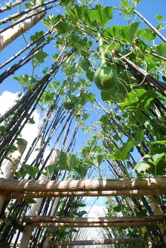 #lesjardinsdeColette #labyrinthegéant #Varetz #Corrèze grandsudinsolite.fr/1860-19-correz…