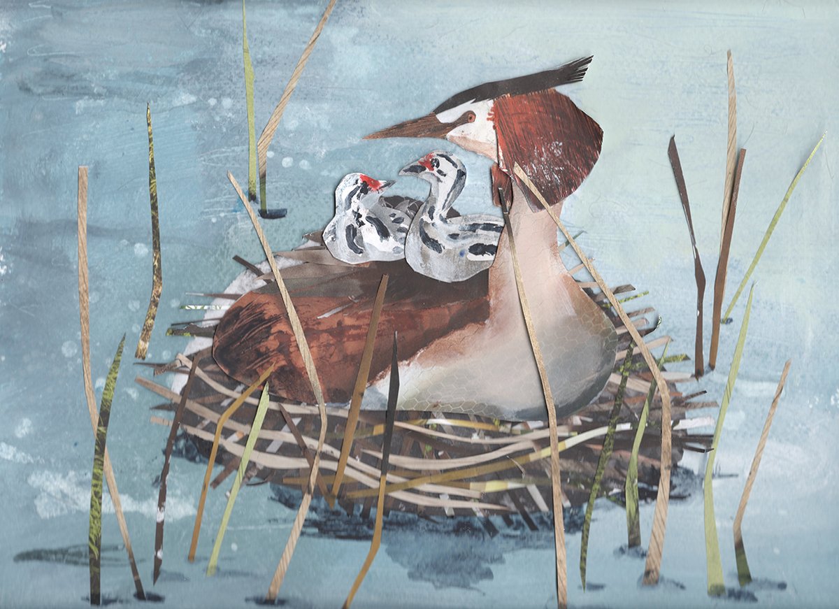 CafeLevel's tweet image. Looking out for wildlife at the Level Best Gallery - mailchi.mp/a37862a67bdf/l…

Nancy’s show comprises 20 framed mixed collage artworks and will run until Monday 30th of May

Nancy’s show comprises 20 framed mixed media collage artworks and will run until Monday 30th of May.