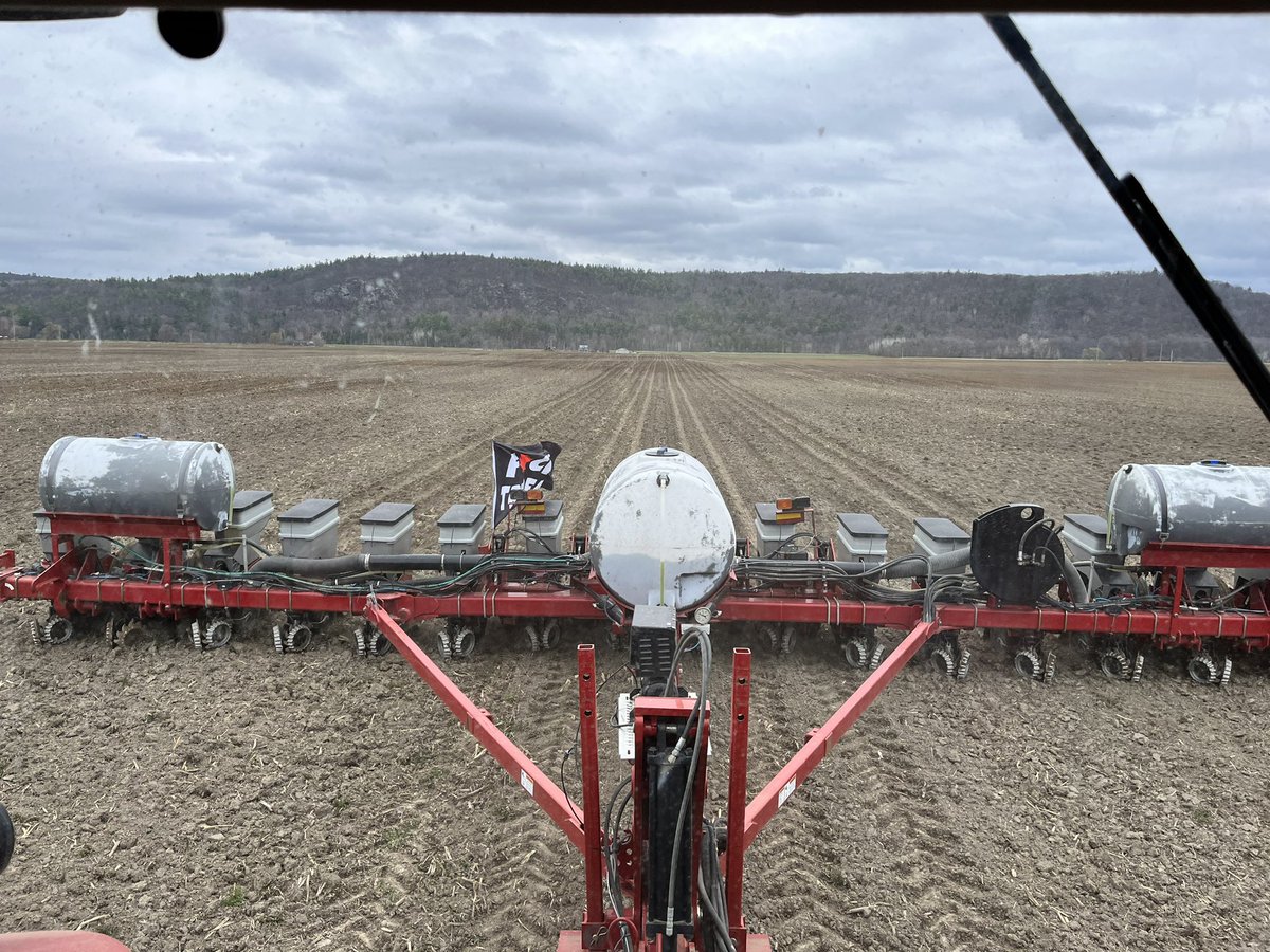 RMLANG's tweet image. Flags flyin we is plantin