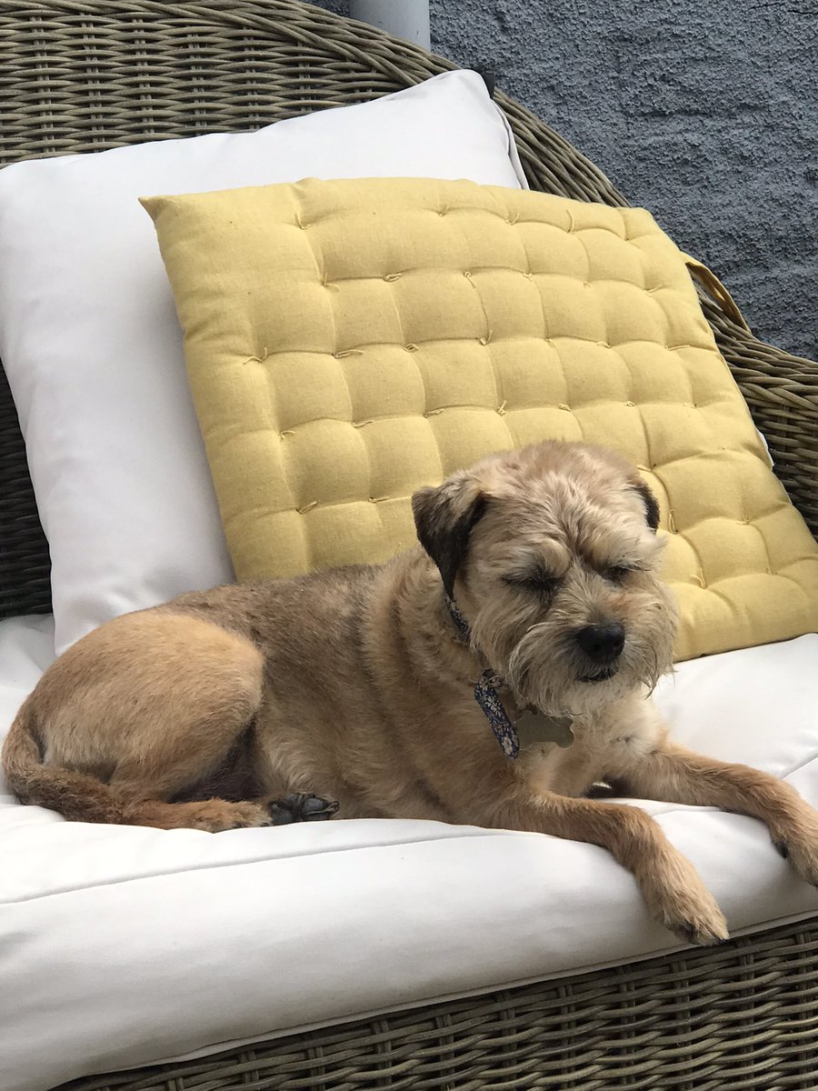 Jennifer Middleton tweet media