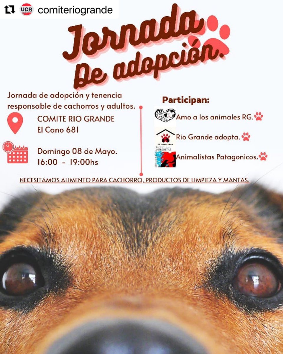 UCR-RioGrande tweet media