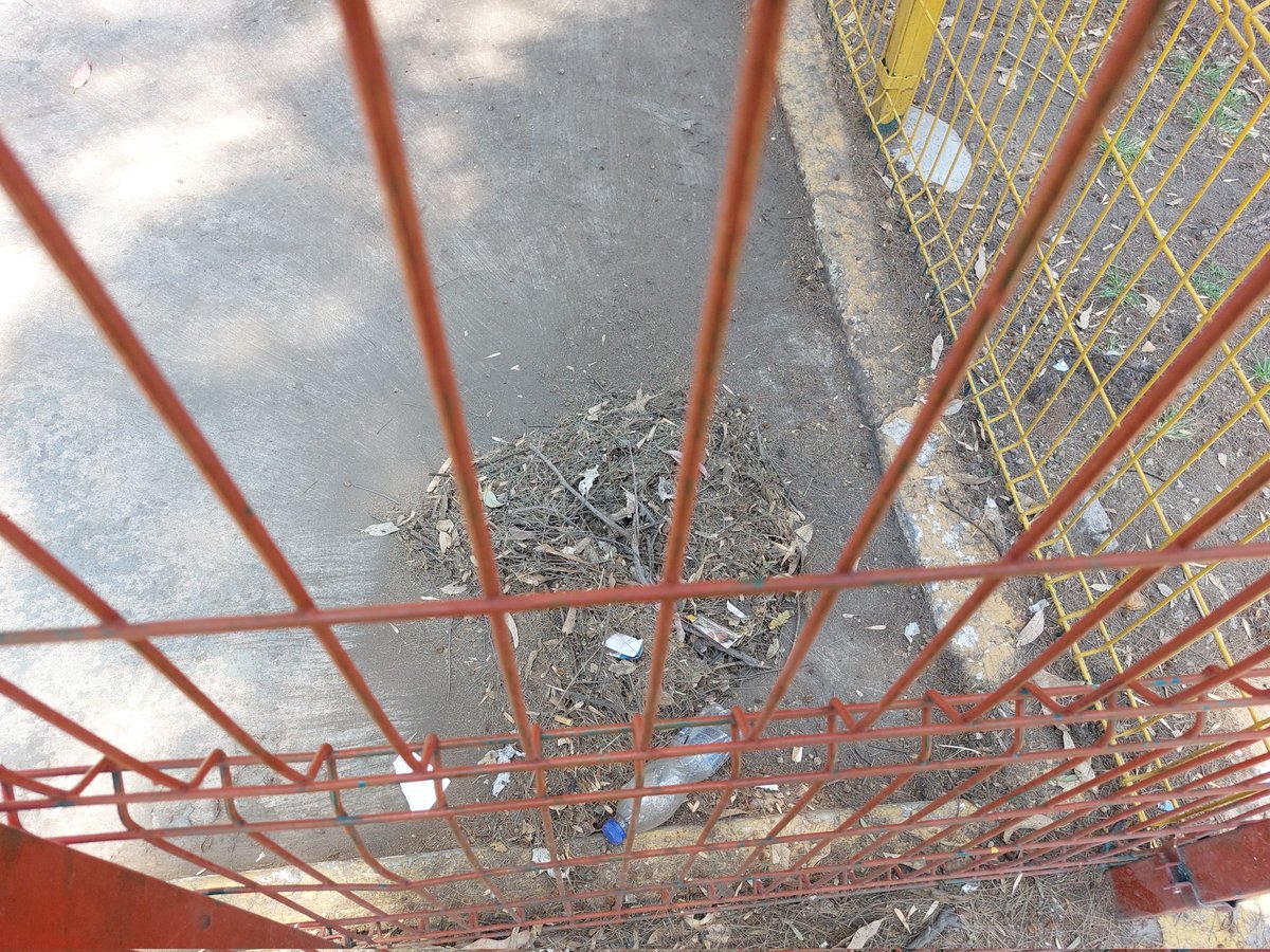 ricki69's tweet photo. Ya le di una barridita , ya que estaba muy sucio espero que alguien pueda venir a recoger los montones , juegos que se encuentran en oriente 172 entre norte 25 y norte 29 @A_VCarranza @GobCDMX https://t.co/7Z7ZMKVvp4