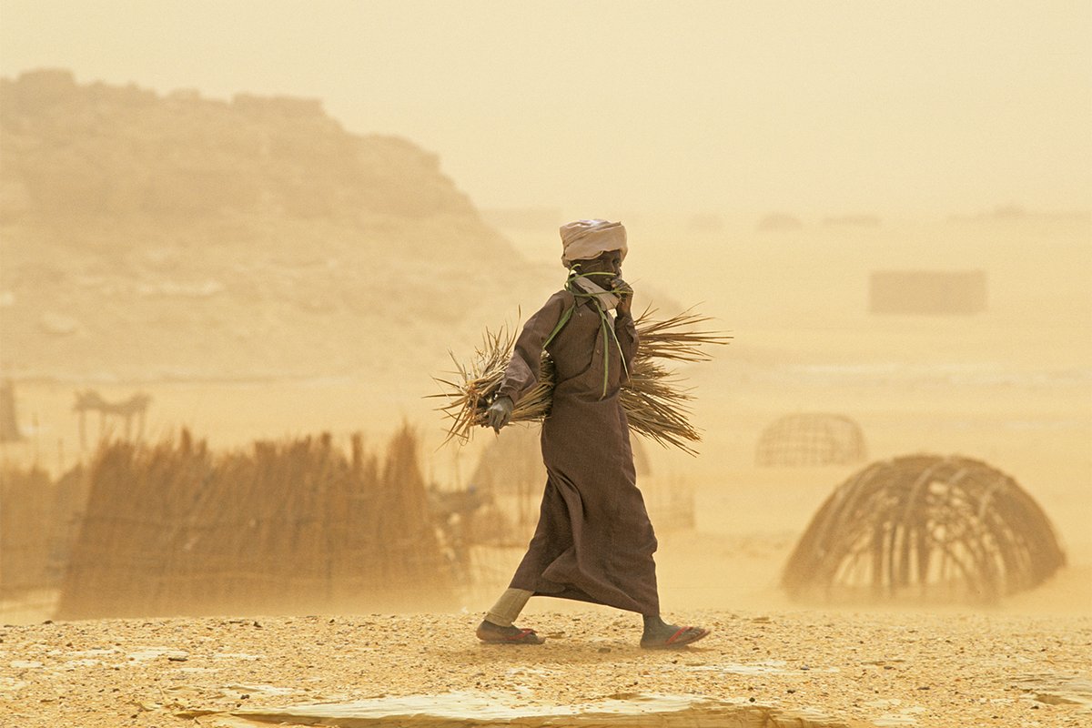Cuaderno de Cultura Científica tweet media