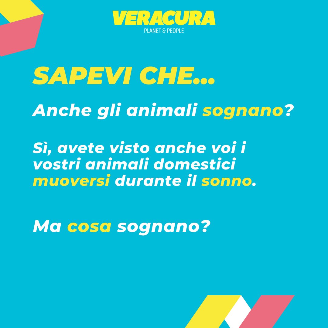 Veracura tweet media