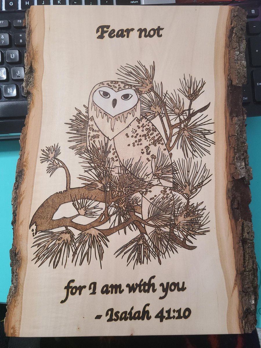 PrairiePyro's tweet photo. #woodburning #snowowl #owl #fearnot #bird #nature #basswood #white

Info: https://t.co/M33Wmx5Vuc 

#PrairiePyroDesigns #Stepher17 #pyrography #PyrographyArt #razertip https://t.co/gl2aOH6srw