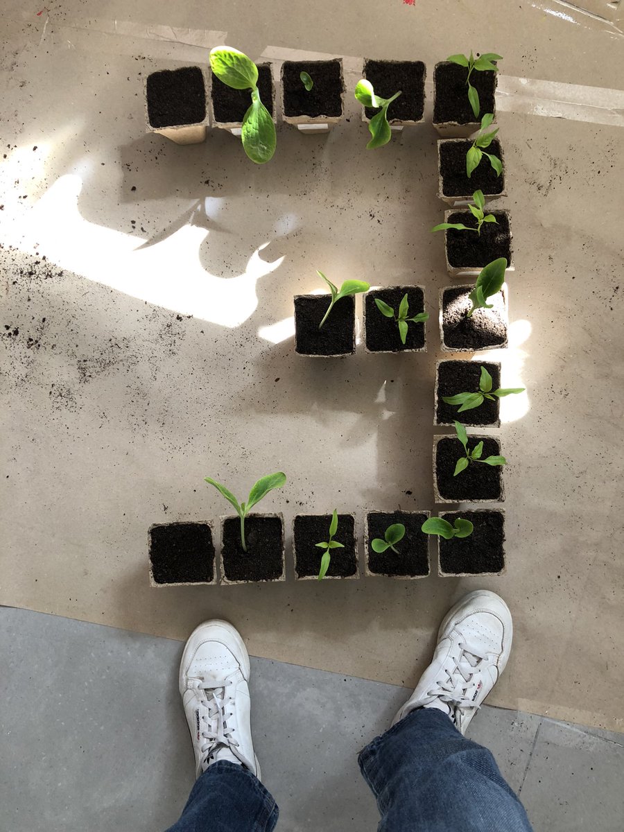 Hey friends,
Long time no see 🙈

Was working around my physical pixels 🌱
Growing my own food from seeds is such a fulfilling journey ✨

I will try my best to pixel some new <a href="/333_pixel/">Enny Liz</a> soon 🎨

Sending you lots of love and light 💛

#pixelart $FTM #nfts