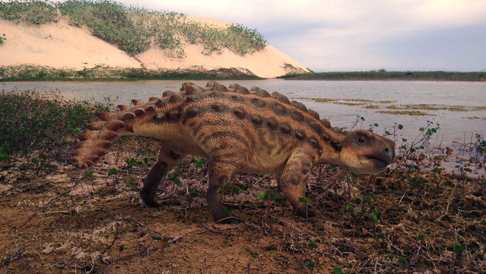 Museo Nacional de Historia Natural (@mnhncl) on Twitter photo En <a href="/ladera_sur/">Ladera Sur 🌎</a> se publicó un reportaje sobre las pistas de los dinosaurios chilenos 🦕 con nombres como el Chilesaurus diegosuarezi.
Entre los entrevistados en el artículo está David Rubilar, Jefe del Área de Paleontología.
La nota acá 👉🏻 bit.ly/3ky61DX En <a href="/ladera_sur/">Ladera Sur 🌎</a> se publicó un reportaje sobre las pistas de los dinosaurios chilenos 🦕 con nombres como el Chilesaurus diegosuarezi.
Entre los entrevistados en el artículo está David Rubilar, Jefe del Área de Paleontología.
La nota acá 👉🏻 bit.ly/3ky61DX