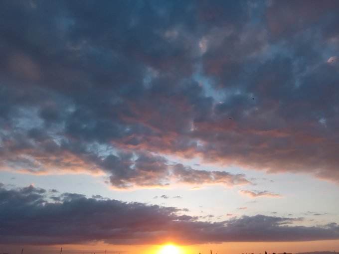 Tarek Baidane (@tbaidane) on Twitter photo 