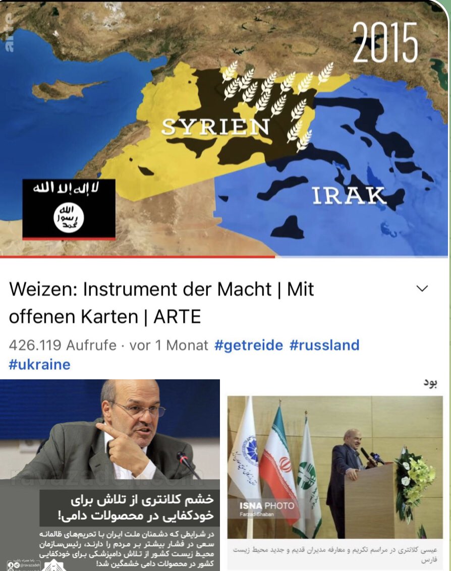 Khorschid_T's tweet photo. دا_عش حمله به سوریه رو از منطقه گندم‌‌خیز، عراق رو از منطقه نفت‌خیزش شروع کرد و سال ۲۰۱۵ بیشتر از ۲۰۰ میلیون دلار گندم فروخت.
حتی دا_عش فهمید خودکفایی نان و مزرعه گندم چه ارزشی داره بعضیا نفهمیدن https://t.co/OncCxcoh5H